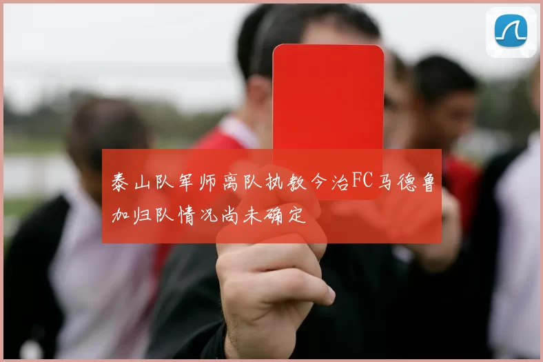 泰山队军师离队执教今治FC马德鲁加归队情况尚未确定