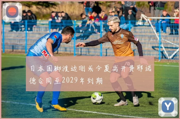 日本国脚渡边刚或今夏离开费耶诺德合同至2029年到期